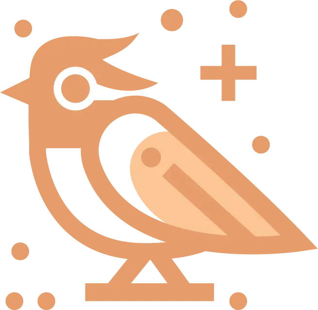 decoration image of a bird